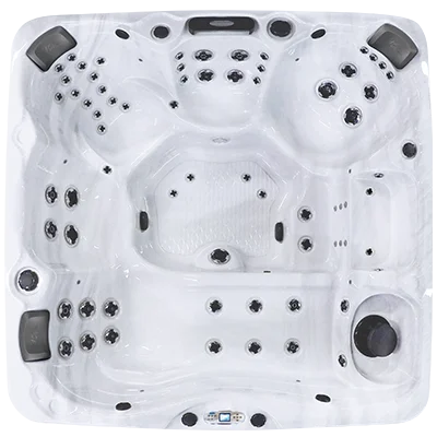 Avalon EC-867L hot tubs for sale in Oceanview